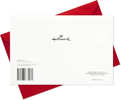 Miniatura 7 de Hallmark Tarjetas de festividades en caja (Felicitaciones de temporada con copos de nieve, 40 tarjetas de festividad con sobres)