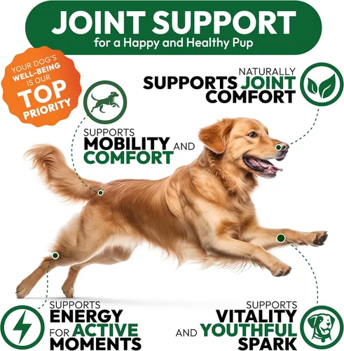 Miniatura 4 de Glucosamina para perros - Suplemento de cadera y articulaciones para perros - 170 masticables de movilidad - Glucosamina condroitina - MSM - Cúrcuma
