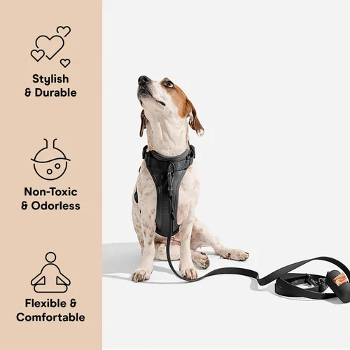 Miniatura 2 de Arnés para perro Wild One, el original sin tirones, arnés para mascotas con 3 clips para correa, chaleco ajustable suave y acolchado, cómodo