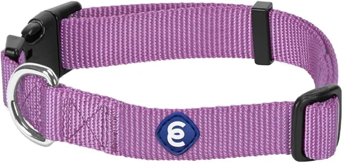 Miniatura 12 de Blueberry Pet Essentials - Collar ajustable para perro en turquesa Collares para perros medianos y grandes Nylon ecológico para cachorros machos