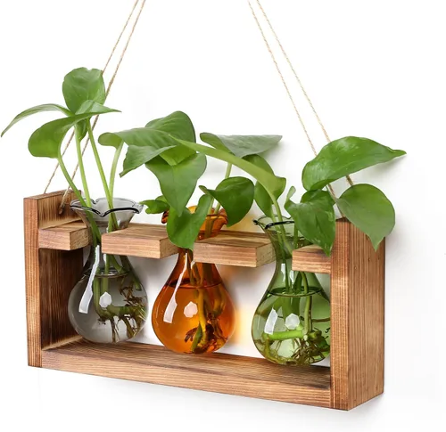 Miniatura 10 de Estación de Propagación de Plantas Terrario de Plantas Regalos Únicos de Cumpleaños para Mujeres Decoración para Hogar y Oficina Maceta con Soporte