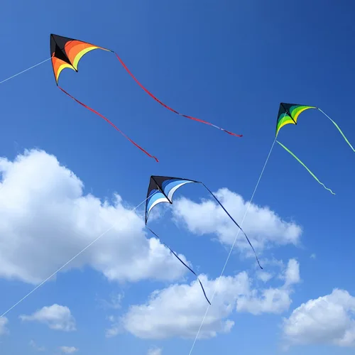 Miniatura 5 de Mint's Colorful Life - Cometa Delta para niños y adultos, cometa extremadamente fácil de volar, las mejores cometas para principiantes