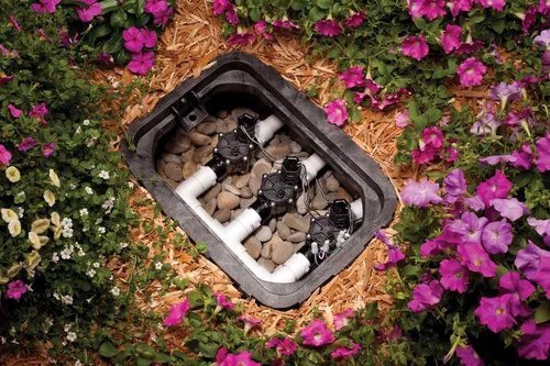 Miniatura 13 de Rainbird National Sls CP-100 válvula de riego automático con entrada de 1 pulgada, Negro
