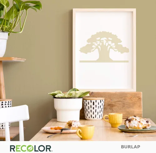 Miniatura 3 de RECOLOR Pintura de Látex Ecológica Premium para Interiores para Paredes, Muebles y Habitaciones con Acabado Cáscara de Huevo, 1 Cuarto de Galón