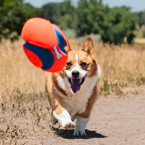Miniatura 6 de Chuckit! Fumble Fetch Fútbol para Perros - Juguete Interactivo para Perros para Interiores y Exteriores con Diseño Ranurado para Fácil Recogida