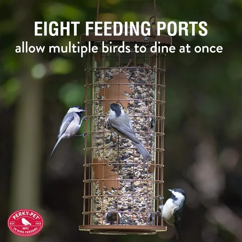 Miniatura 5 de Perky-Pet Comedero para pájaros silvestres con 8 puertos de alimentación, capacidad de semillas de 3 libras, acabado de cobre, alimentador a prueba