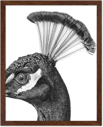 Miniatura 7 de Poster Master Póster de Chimpancé - Impresión de Mono Leyendo Periódico - Arte de Pared de Mono - Regalo para Hombres, Mujeres y Amantes