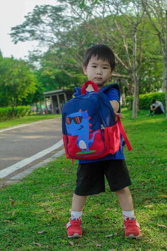 Miniatura 7 de POWOFUN Mochila de viaje preescolar para niños pequeños, rojo, (Dinosaur Red), S, Viajar