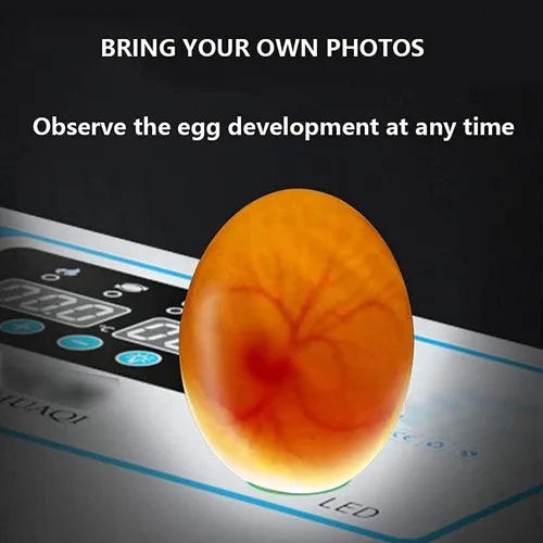 Miniatura 4 de Incubadora de huevos con capacidad para 120 huevos LED de giro automático de huevos y control de temperatura, ventilación automática, incubadoras
