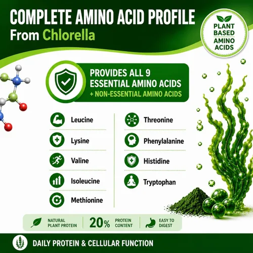 Miniatura 8 de Chlorella Cápsulas 3000 mg – Pared celular agrietada suplemento de algas verdes azules – La mejor limpieza natural de desintoxicación – Vitaminas