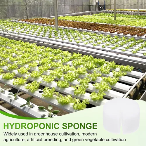 Miniatura 7 de M METERXITY Paquete de 50 esponjas hidropónicas, esponjas cilíndricas de medio de cultivo de 1.97 pulgadas para plantar herramientas de Blanco