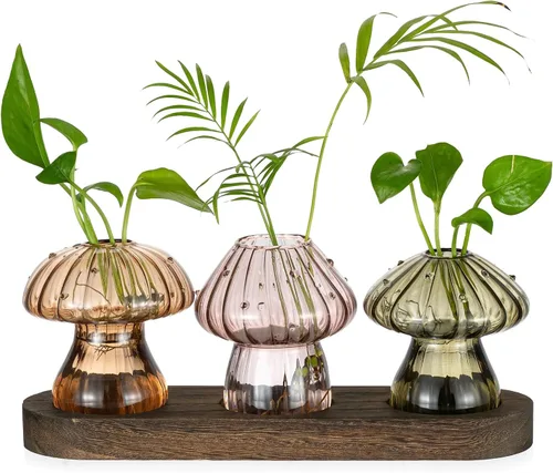 Hewory Estaciones de propagación de vidrio para plantas: jarrones de hongos ámbar con soporte de madera para decoración del hogar - Jarrones de