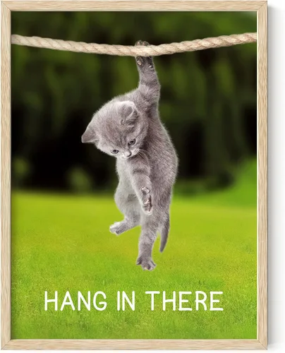 HAUS AND HUES Póster de gato con texto en inglés "Hang in There", divertido arte de pared de gato, bonitos pósteres motivacionales, póster