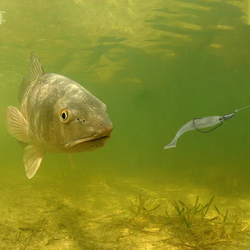 Miniatura 5 de MAFIMOEA - Cabezas de plantilla de bala con peso de Texas Rig Hooks Swimbait Hooks Bass Crappie Walleye Trucha Pesca sin malas hierbas Swimbait Jig