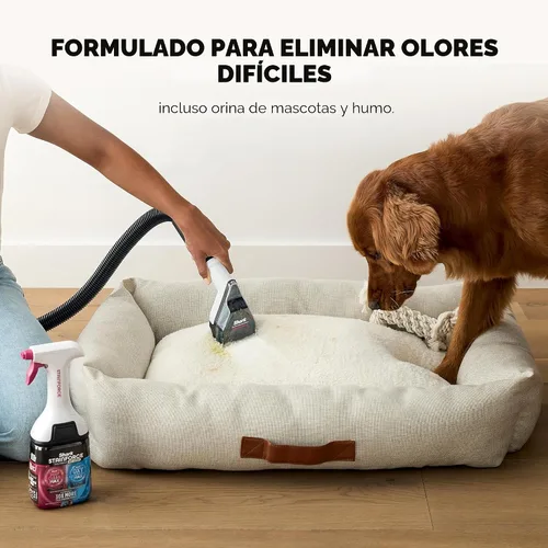 Miniatura 4 de Shark EveryMess VX101 - Aspiradora húmeda 3 en 1, aspiradora seca y eliminador de manchas con tecnología StainForce, perfecto para hogares, mascotas