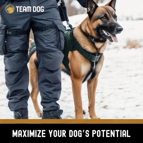 Miniatura 8 de TEAM DOG Elite Blend - Alimento para perros alto en proteínas, alto en calorías para aumento de peso, 30% de proteínas, 25% de grasa, 577 cal/taza