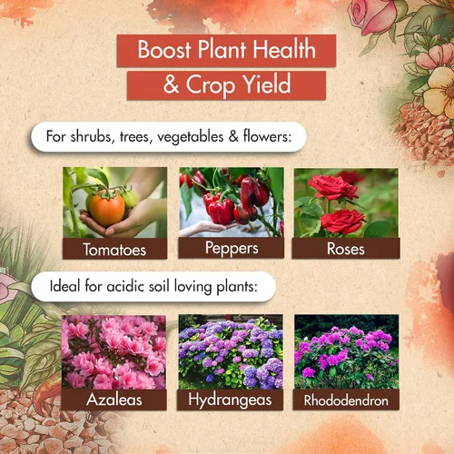 Miniatura 4 de Abono de Potasa Muriata 0-0-60, Abono de Alto Contenido en Potasio para Plantas, Ideal para el Alimento de Plantas y Abono de Potasa para Plantas