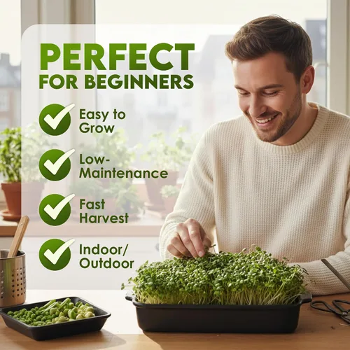 Miniatura 4 de Nature Jims Sprouts Semillas de trébol – Semillas germinantes orgánicas sin OMG para semillas frescas y ricas en nutrientes, llenas de vitaminas