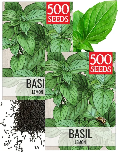 Miniatura 5 de Seed Needs Semillas de albahaca para plantar hierbas de albahaca tailandesa, sin OMG y semillas de hierbas sin tratar para cultivar un jardín