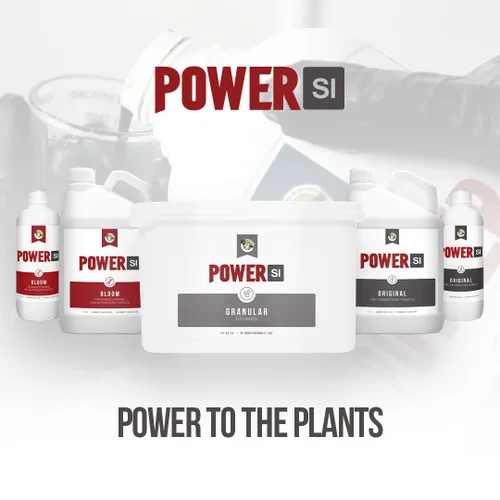 Miniatura 5 de PowerSI - Suplemento de sílice original de 1 litro, aditivo de fortalecimiento vegetal con ácido monosilícico, mejora la absorción de nutrientes