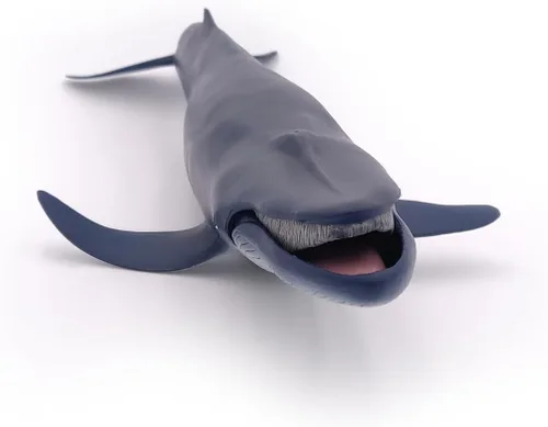 Miniatura 7 de Papo - Figura realista de ballena azul para niños - A partir de 3 años - Colección de vida marina - Juego educativo de mamíferos marinos - Juguete