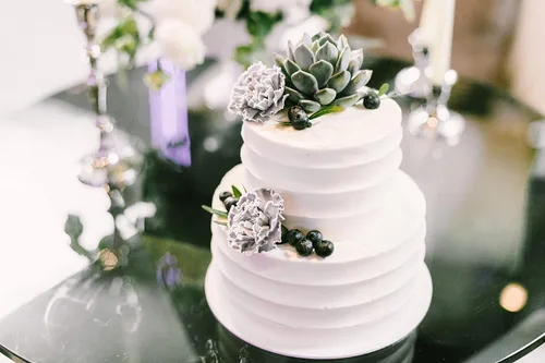 Miniatura 6 de Shop Succulents Colección única Suculentas vivas en el suelo Variedad seleccionada a mano Plantas reales de interior/exterior, paquete
