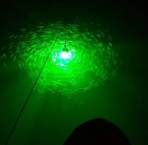 Miniatura 6 de 12 V 14 W 180 LEDs 1300 lúmenes LED sumergible Pesca Luz submarina buscador de peces lámpara con cable de 16.4 ft Verde