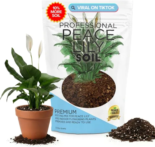 Miniatura 8 de Bird of Paradise - Mezcla profesional para macetas de 2.2 cuartos de galón, lista para usar, tierra de interior premium para plantas de aves