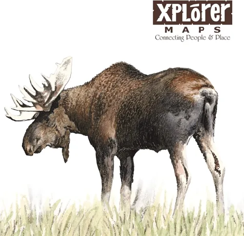 Miniatura 2 de Xplorer Maps Taza de cerámica Grand Teton National Park Map (16 onzas) – Taza de café sin BPA para bebidas calientes y frías – perfecta para Parque