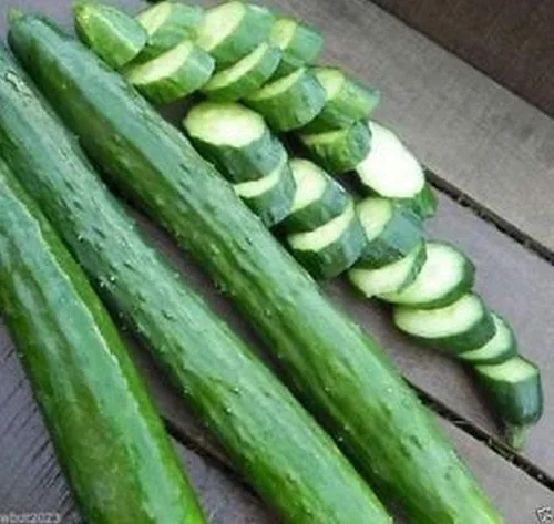 Semillas de pepino japonesas largas sin eructos, Sooyow Nishiki Green sin OMG (25 semillas) (45 semillas) semillas para plantar, granja, cultivo en
