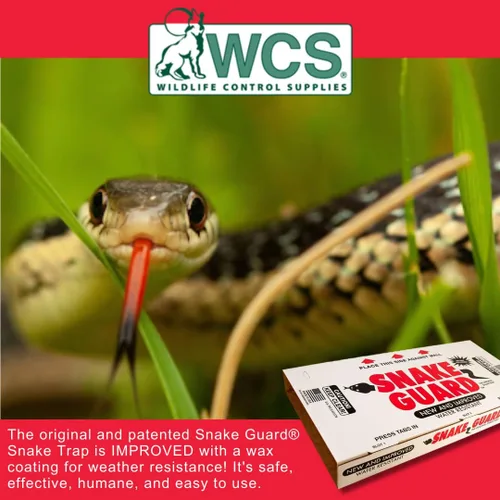 Miniatura 3 de Snake Guard® - Trampa para serpientes de Wildlife Control Supplies – Trampa resistente a la intemperie sin contacto – Control seguro y eficaz