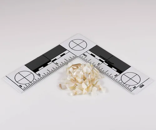 Madre perla; pura y natural: de World of Wood- Piedra de incrustación triturada perfecta para incrustaciones de madera, joyas, arte y más