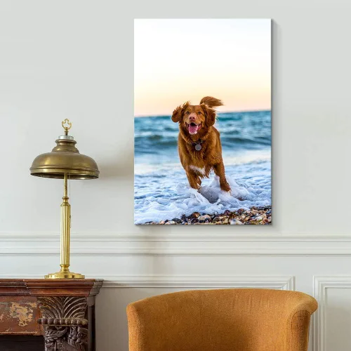 Miniatura 3 de NWT - Fotografía personalizada sobre lienzo con diseño de mascota y animal