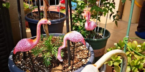 Miniatura 9 de MUAMAX Púas de flamenco en miniatura, paquete de 2 accesorios de jardín de hadas, figuras de flamenco de jardín en miniatura rosa, estacas