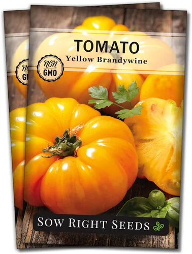 Miniatura 7 de Sow Right Seeds - Semillas de tomate Brandywine amarillo para plantar - Paquete de reliquia sin OMG con instrucciones para plantar un huerto casero