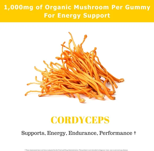 Miniatura 5 de Cordyceps - Gomitas de hongos para adultos 90 porciones Sandía Gomitas de hongos de rendimiento energizante para apoyar la resistencia