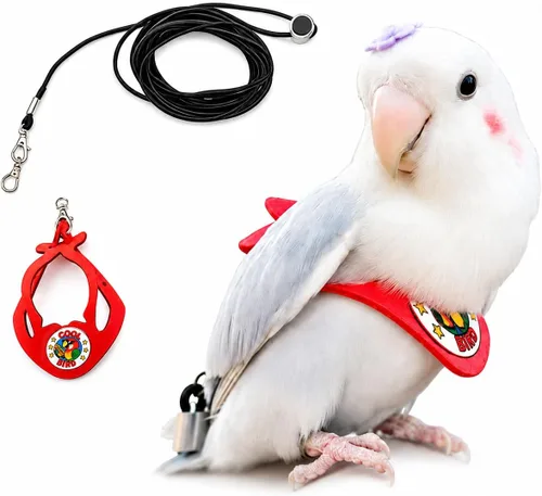Miniatura 11 de Juego de arnés ajustable y correa para pájaros pequeños, apto para periquitos, conures, cacatúas, mejillas verdes, loros cuáqueros (verde, XS) 6350-6