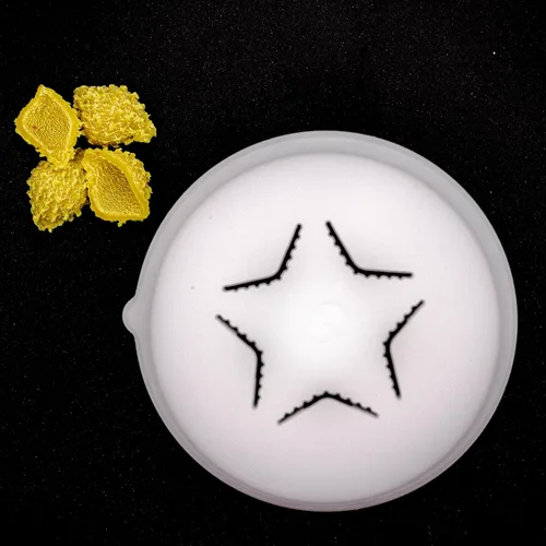 Miniatura 9 de Conchiglia - Discos en forma de pasta para Philips Automatic, pasta y fideos, accesorios para hacer pastas Philips, electrodomésticos de cocina, kit