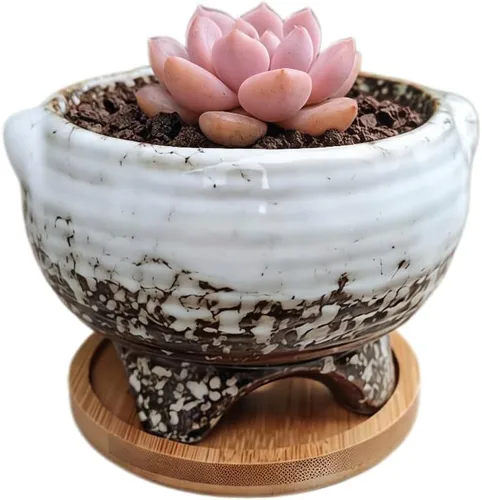 Miniatura 44 de Bonita maceta circular de cerámica para decoración del hogar y jardín, suculentas, cactus, maceta no incluida (azul, 3.19 pulgadas)