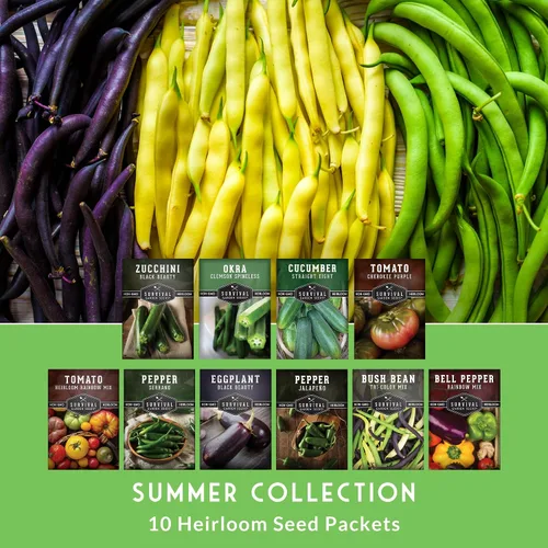Miniatura 3 de Semillas de jardín de verduras de verano, paquete variado de 10 heirloom sin OMG para plantar, colección de jardinería de clima cálido para verduras