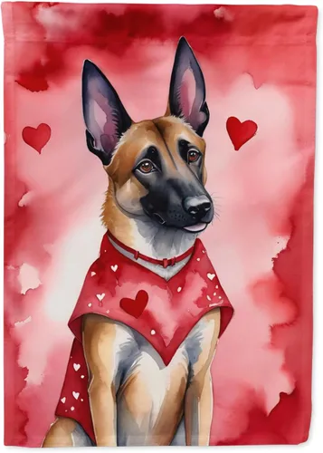 Miniatura 207 de Caroline's Treasures DAC5292CHF - Bandera de Border Collie My Valentine House para porche, grande, con manga para porche, para colgar en la pared