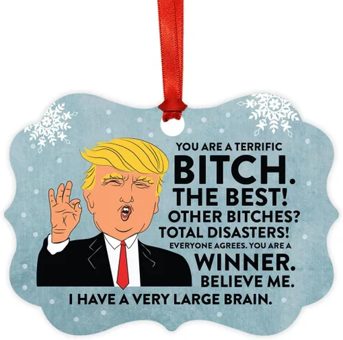 Andaz Press Divertido presidente Donald Trump Fancy Frame Recuerdo Adorno de Navidad Regalo de mordaza, Perra fantástica, 1 paquete, ideas de regalo