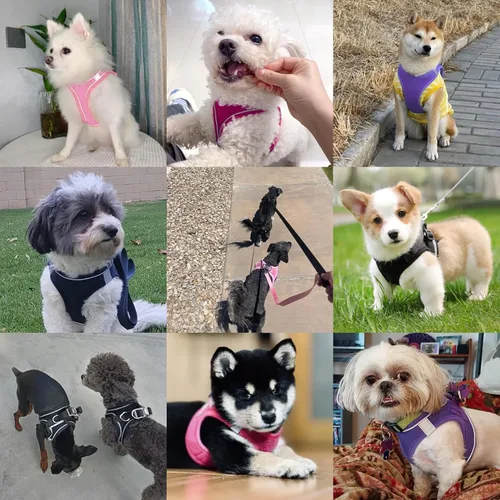 Miniatura 6 de Arnés para perro con correa, arnés reflectante sin tirones con 1 clip de correa, chaleco ajustable y acolchado para perros pequeños, medianos y Azul