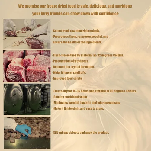 Miniatura 4 de RA NOVA Golosinas liofilizadas para gatos, 100% sin granos de pechuga de pato, cruda, natural equilibrio, ingredientes limitados, bocadillos