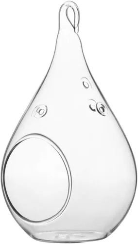WGV - Terrario colgante de cristal para plantas, ancho 3 pulgadas, altura 5.5 pulgadas, lágrima DIY maceta de aire para suculentas, luz de té