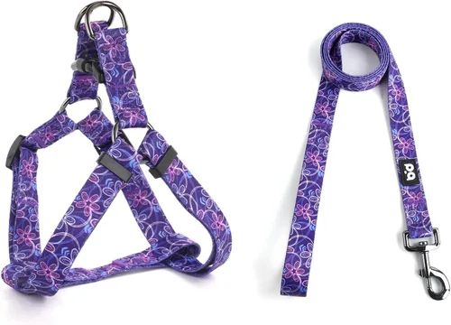 Miniatura 12 de QQPETS Juego de correa de arnés para perro, ajustable, resistente, sin tirones, arnés halter para perros de razas pequeñas, medianas y grandes, clip