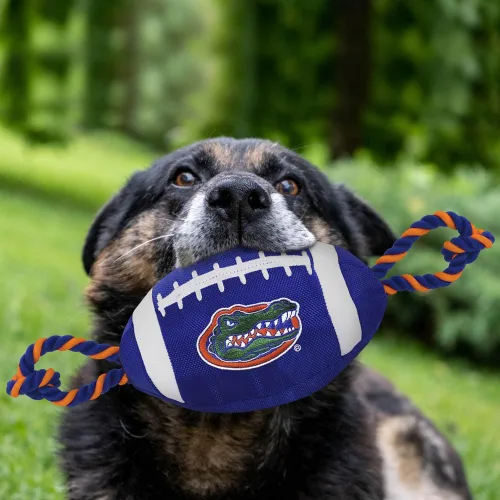 Miniatura 4 de Pets First NFL NFL - Fútbol de nailon unisex Florida Gators
