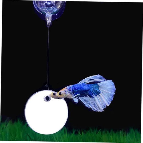 Miniatura 9 de Espejo flotante de pecera Betta con espejo acrílico y cuerda para ejercicio Betta y decoración de acuario pequeño, 1.57 x 1.57 x 0.19 pulgadas
