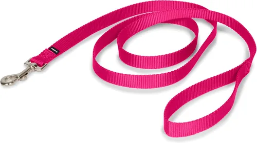 Miniatura 20 de PetSafe Correa de nailon para perro fuerte, duradera, estilo tradicional con broche de perno fácil de usar para perros pequeños, medianos y grandes