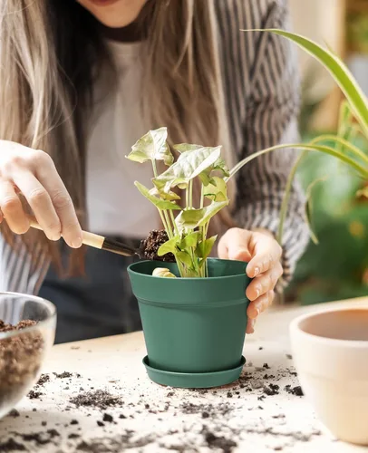Miniatura 2 de homenote Macetas, paquete de 15 macetas de 6 pulgadas con múltiples agujeros de drenaje y platillos, macetas de plástico para todas las flores
